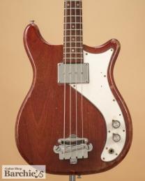 Epiphone Newport EBS