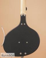 Jerry jones baby sitar シタール ベイビーシタール Jerry Jones Baby Sitarのお話 | Nico-nico Guitars Blog